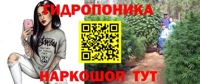 apvp Севастополь