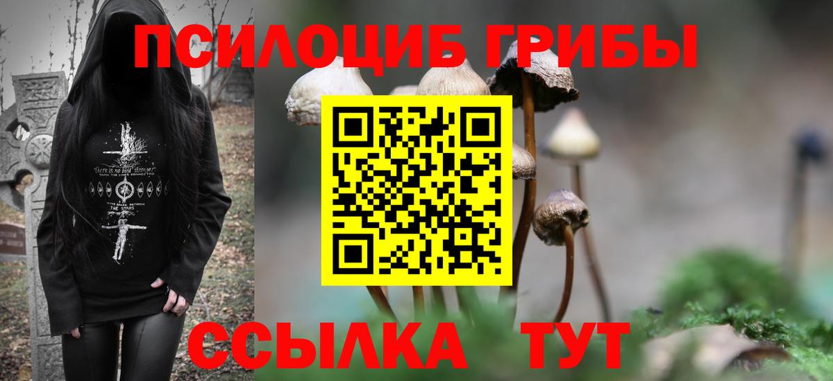 Псилоцибиновые грибы ЛСД  Вход с VPN  цена наркотик  Галлюциногенные грибы мухоморы  Тверь 